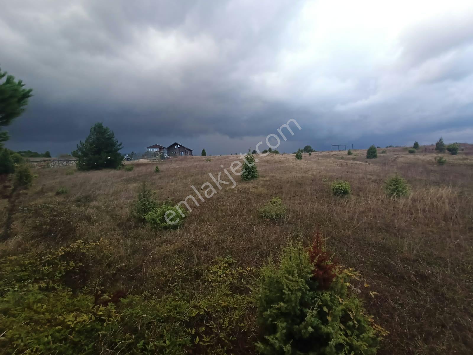 Deniz Manzaralı Resmi Yola Cepheli — fotoğraf 17