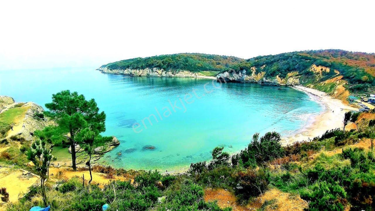 Deniz Manzaralı Resmi Yola Cepheli — fotoğraf 19