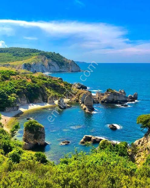Deniz Manzaralı Resmi Yola Cepheli — fotoğraf 21