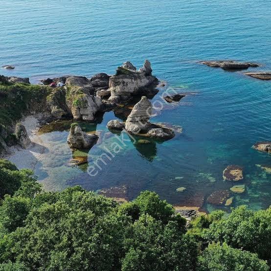 Deniz Manzaralı Resmi Yola Cepheli — fotoğraf 24