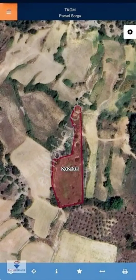 Muğla Menteşe Algı'da Denize Yakın Fırsat Büyük Tarla Acil Acil — fotoğraf 2