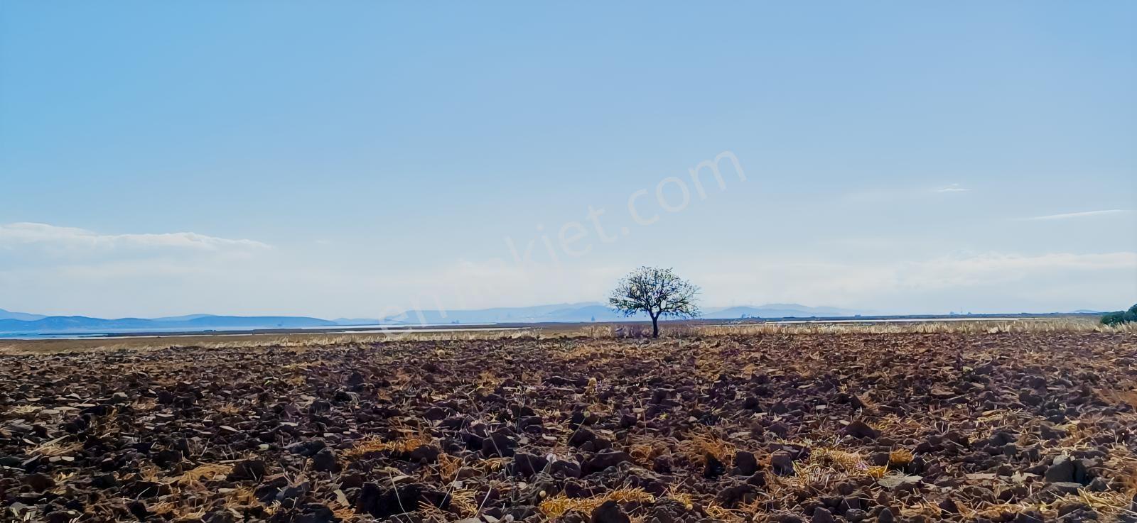 Çandarlı Liman Bölgesi Deniz Kenarı Satılık Arazi — fotoğraf 6