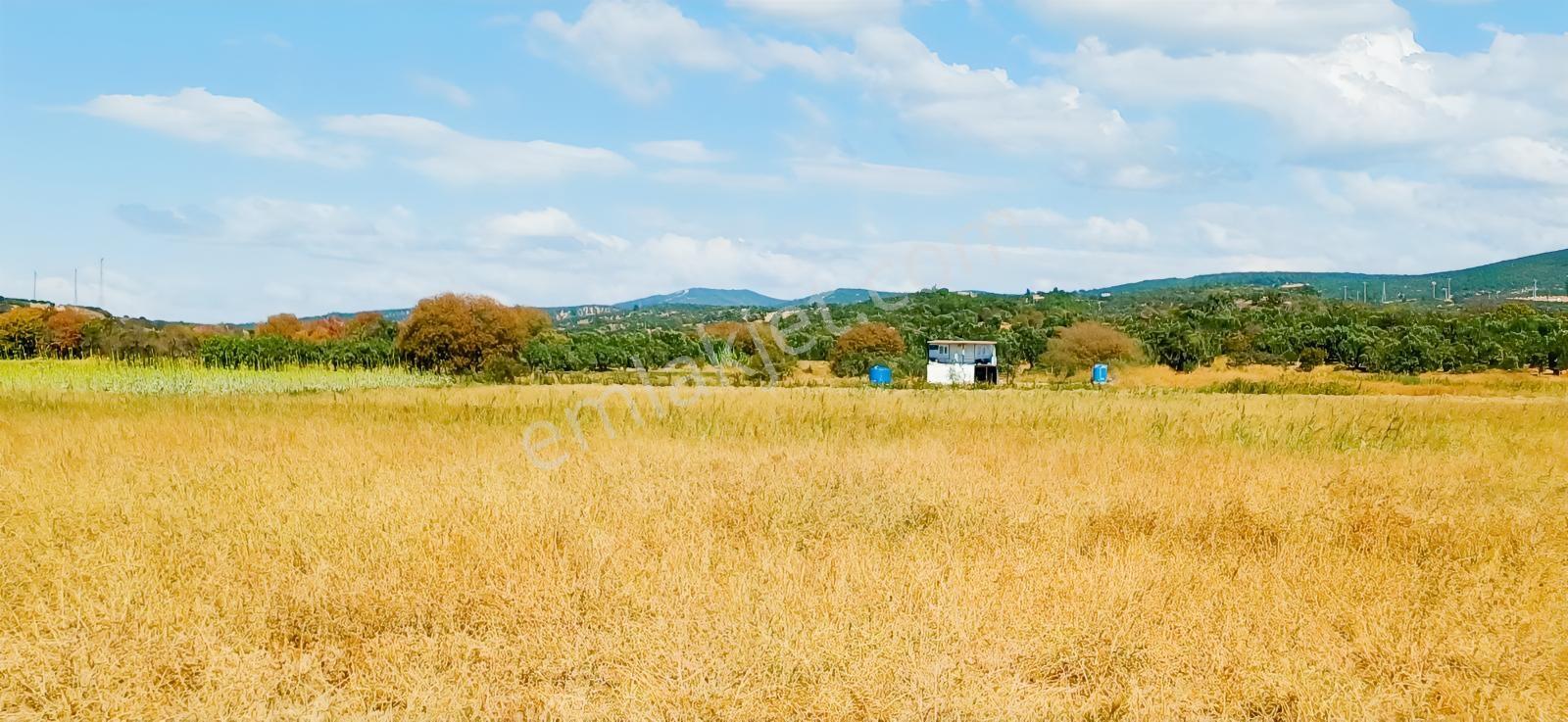 Çandarlı Liman Bölgesi Deniz Kenarı Satılık Arazi — fotoğraf 7