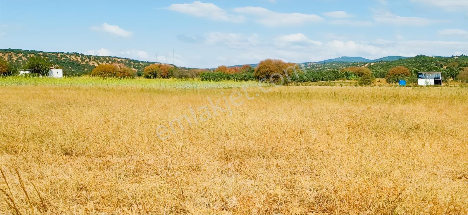 Çandarlı Liman Bölgesi Deniz Kenarı Satılık Arazi — fotoğraf 8