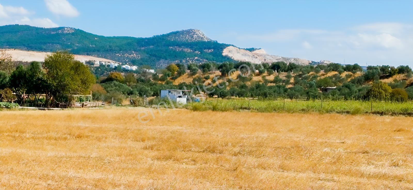 Çandarlı Liman Bölgesi Deniz Kenarı Satılık Arazi — fotoğraf 12