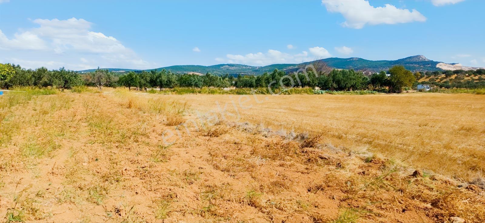 Çandarlı Liman Bölgesi Deniz Kenarı Satılık Arazi — fotoğraf 13