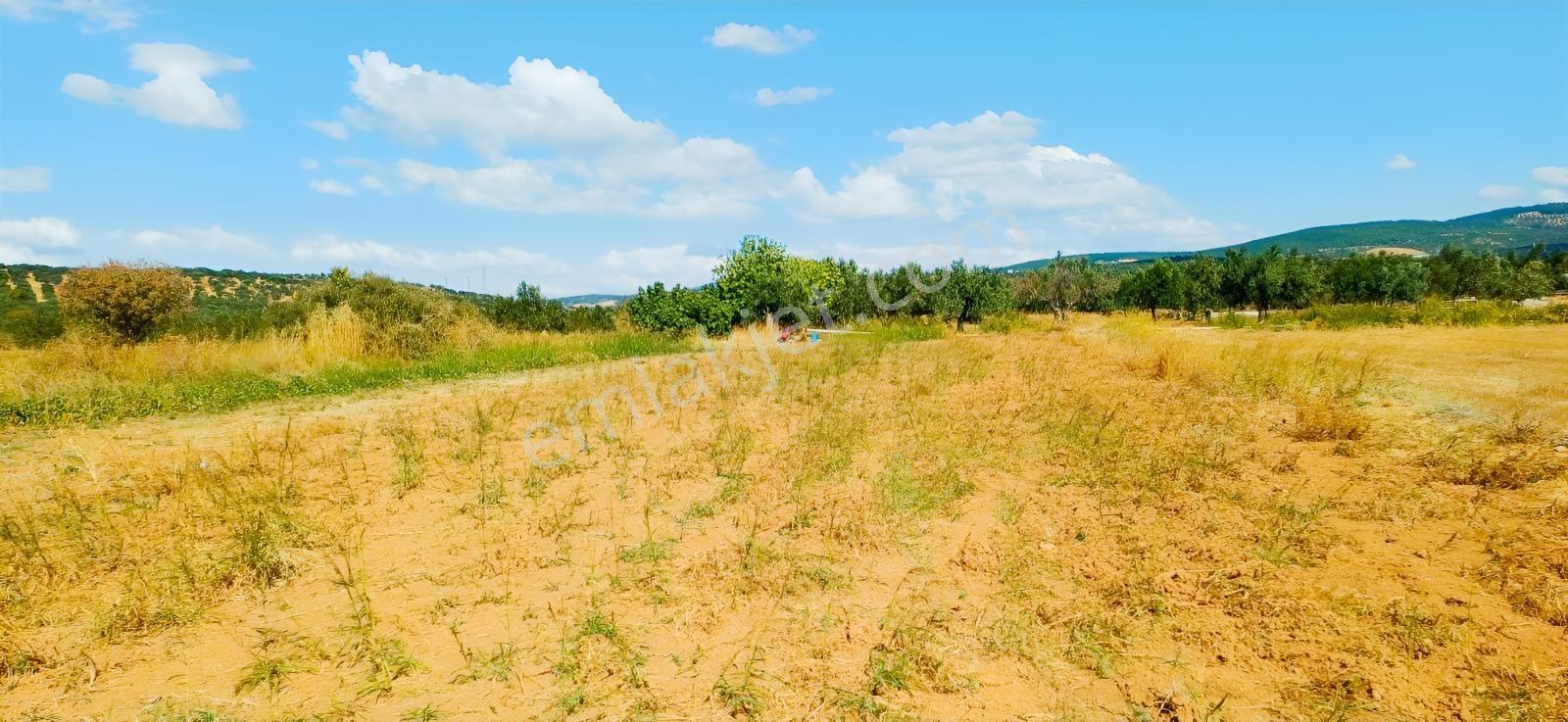 Çandarlı Liman Bölgesi Deniz Kenarı Satılık Arazi — fotoğraf 14