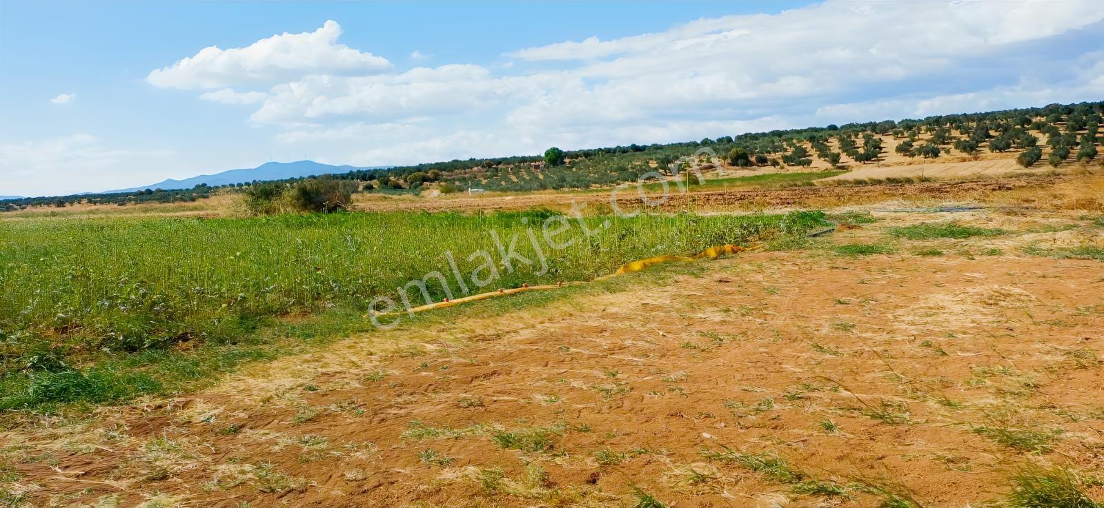 Çandarlı Liman Bölgesi Deniz Kenarı Satılık Arazi — fotoğraf 16