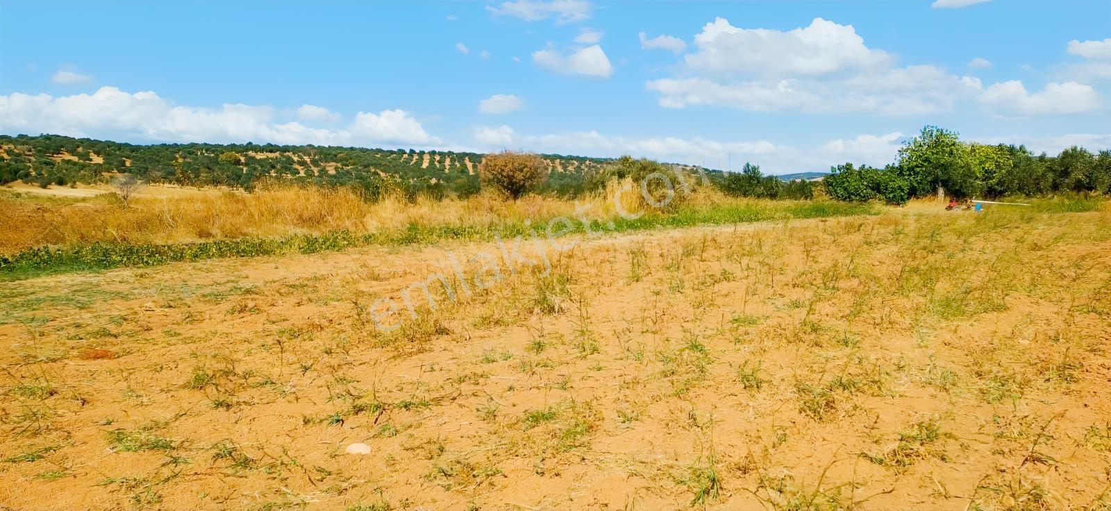 Çandarlı Liman Bölgesi Deniz Kenarı Satılık Arazi — fotoğraf 18