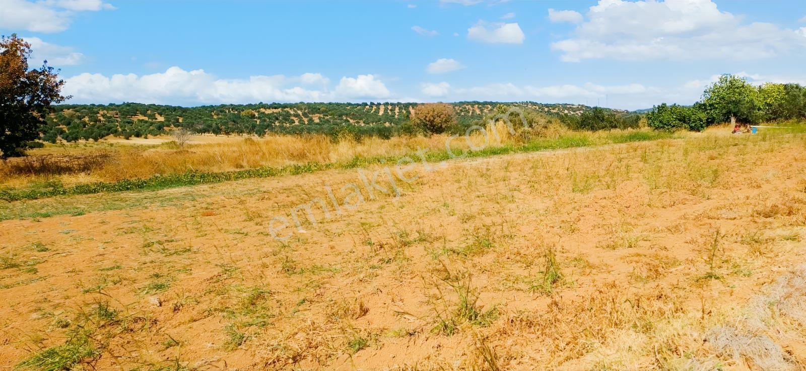Çandarlı Liman Bölgesi Deniz Kenarı Satılık Arazi — fotoğraf 20
