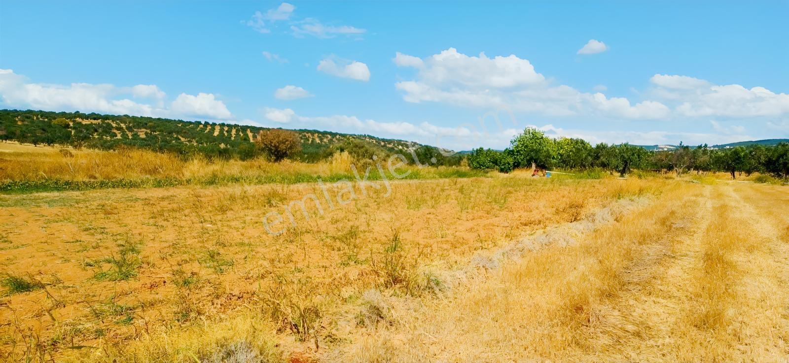 Çandarlı Liman Bölgesi Deniz Kenarı Satılık Arazi — fotoğraf 22