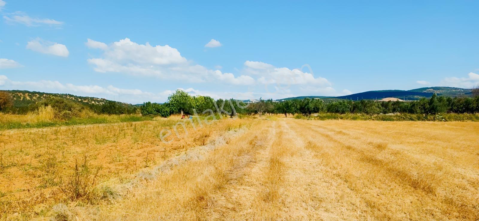 Çandarlı Liman Bölgesi Deniz Kenarı Satılık Arazi — fotoğraf 23