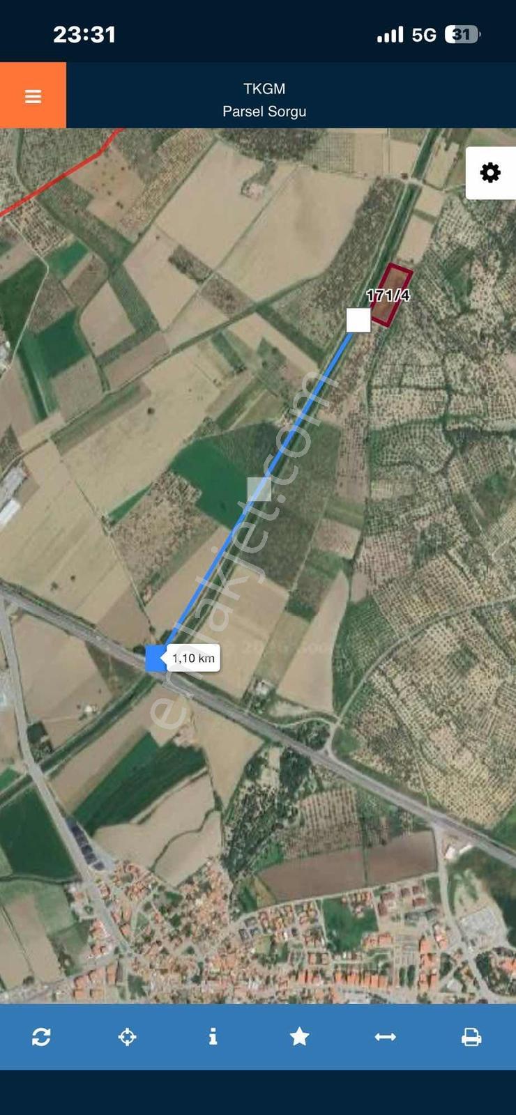 Dağlı Gayrimenkulden Yola Cepheli 9.636 M² Değerli Zeytinlik — fotoğraf 2