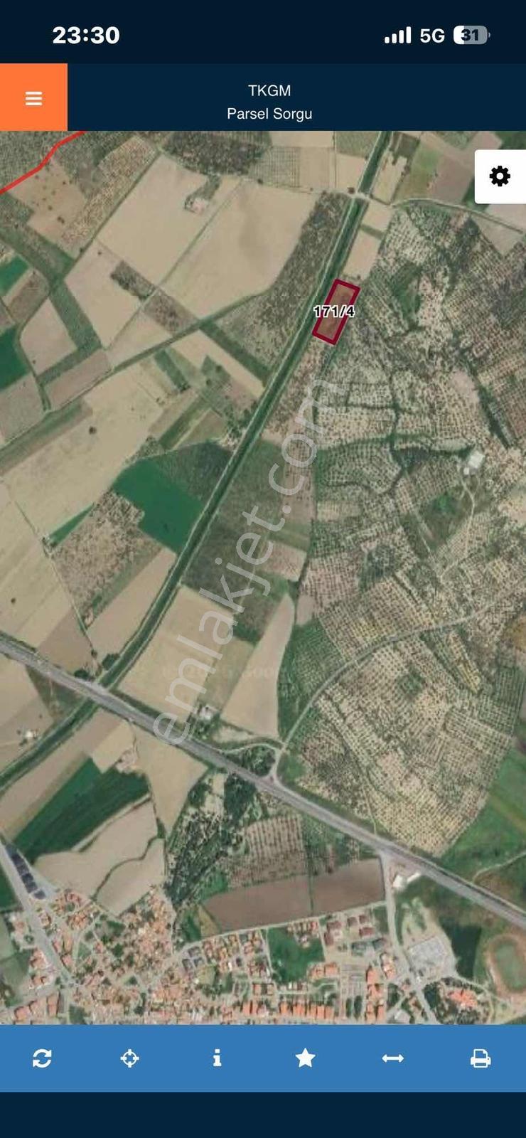 Dağlı Gayrimenkulden Yola Cepheli 9.636 M² Değerli Zeytinlik — fotoğraf 3