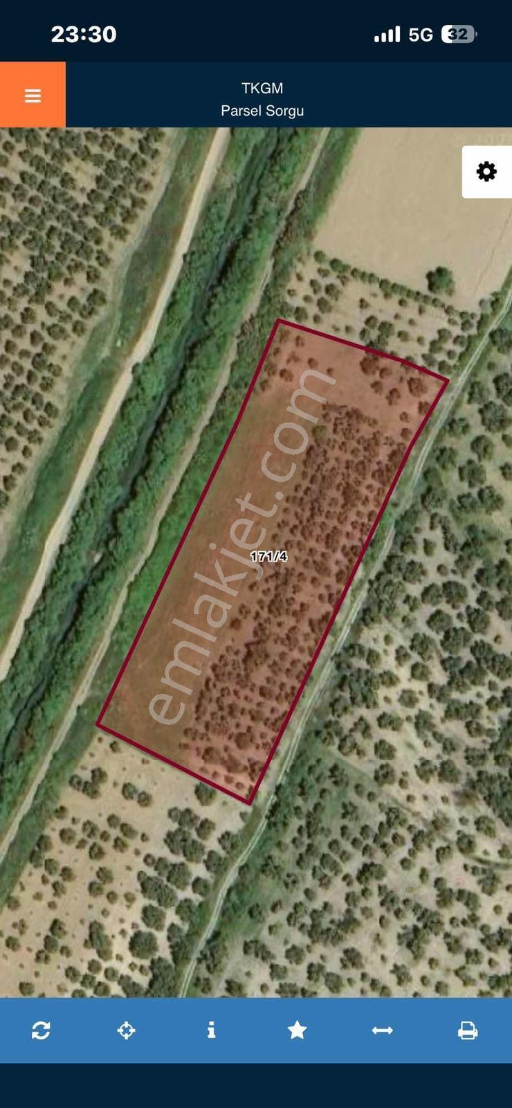 Dağlı Gayrimenkulden Yola Cepheli 9.636 M² Değerli Zeytinlik — fotoğraf 5