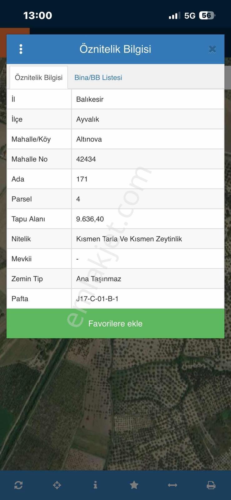 Dağlı Gayrimenkulden Yola Cepheli 9.636 M² Değerli Zeytinlik — fotoğraf 6