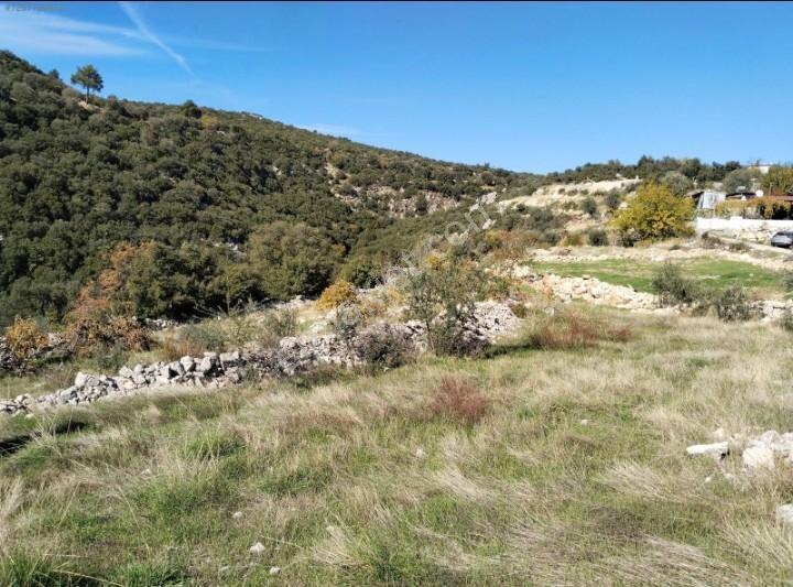 Muğla Seydikemer Kayadibinde 1.050,93 M² Satılık Tarla — fotoğraf 2