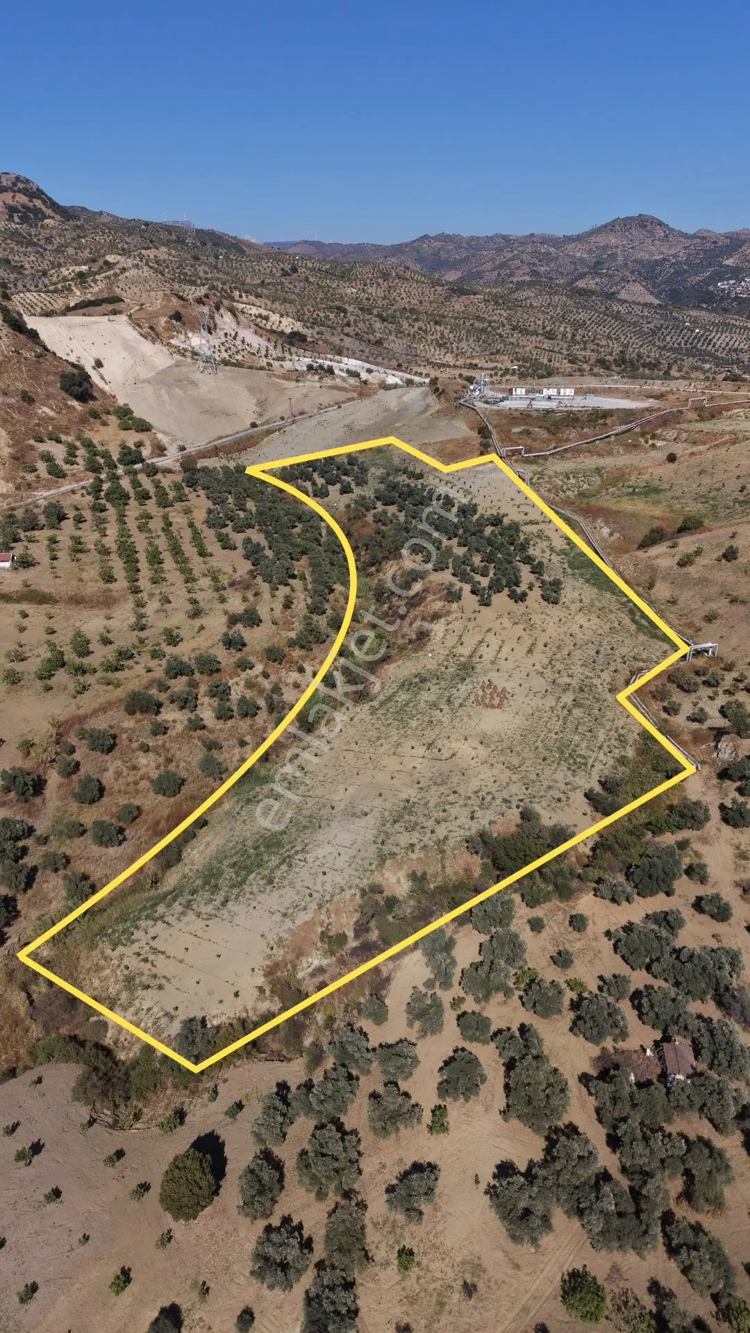 Aydın Germencik Bozköy Yolu Kenarı 25.765m2 Zeytin & İncirlik — fotoğraf 2