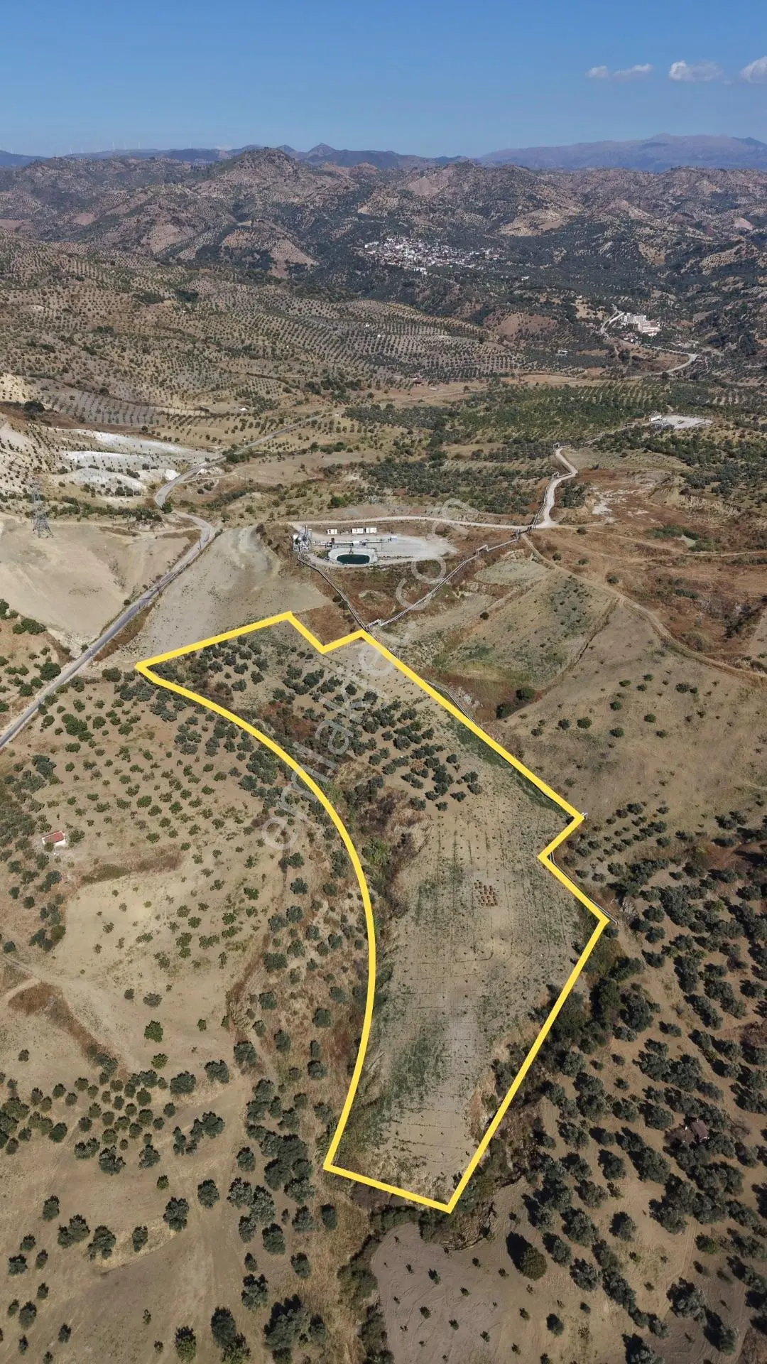 Aydın Germencik Bozköy Yolu Kenarı 25.765m2 Zeytin & İncirlik — fotoğraf 3