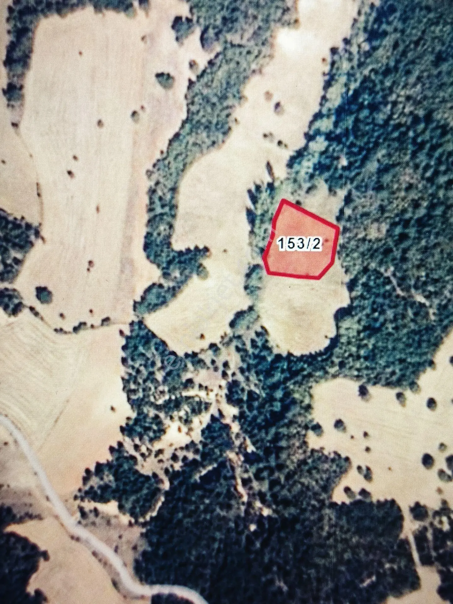 Kütahya Gediz Yenigüney'de Satılık 2403 M2 Tarla — fotoğraf 4