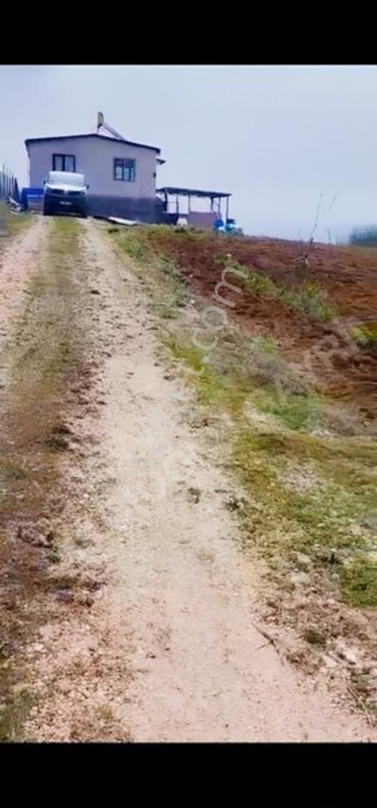 Bursa Yenişehir Yıldırım Da 2225 M2 Satılık Tarla — fotoğraf 5