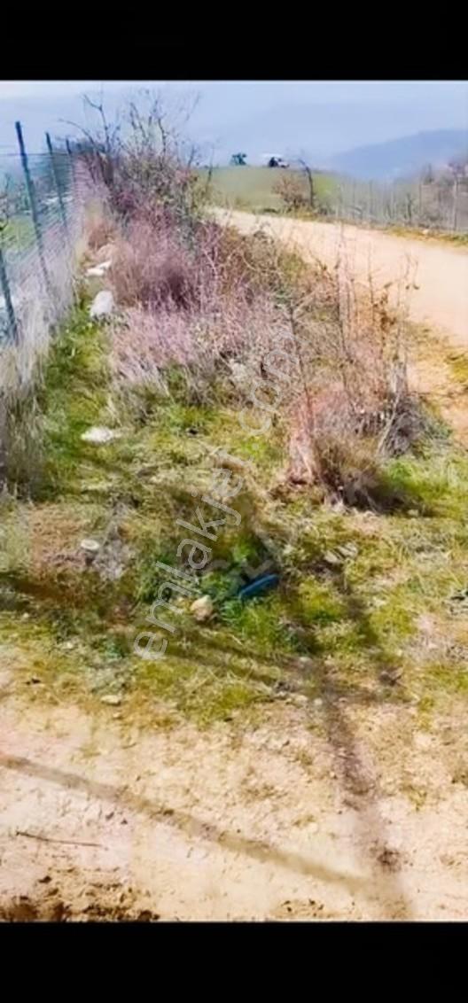 Bursa Yenişehir Yıldırım Da 2225 M2 Satılık Tarla — fotoğraf 6