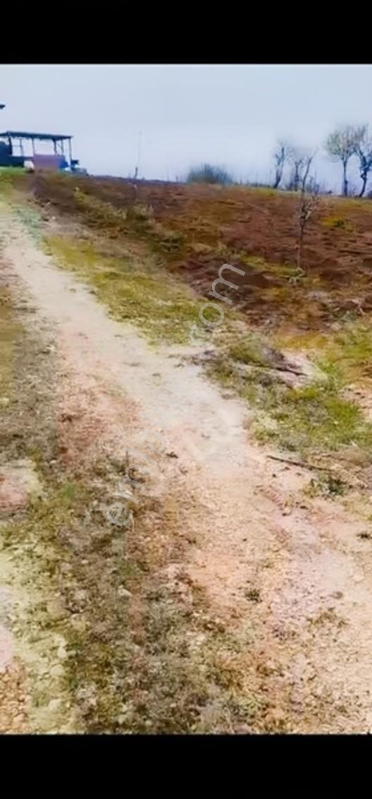 Bursa Yenişehir Yıldırım Da 2225 M2 Satılık Tarla — fotoğraf 7