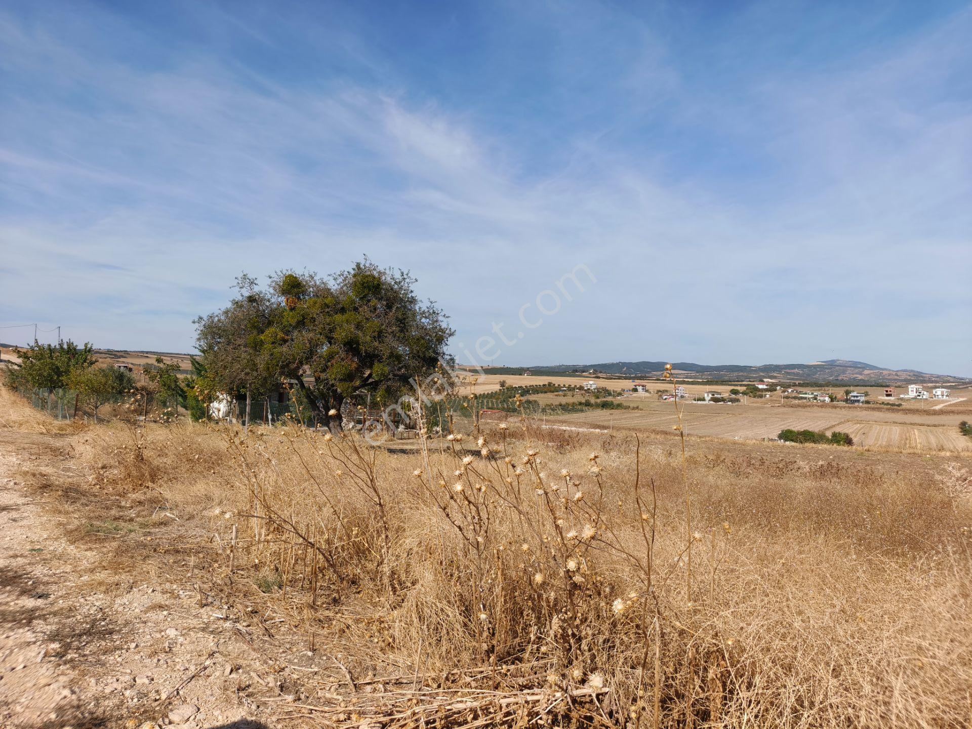 Bulut Yatırımdan 222 M² % 25 İmarlı Merkezi Konumda Arsa — fotoğraf 7