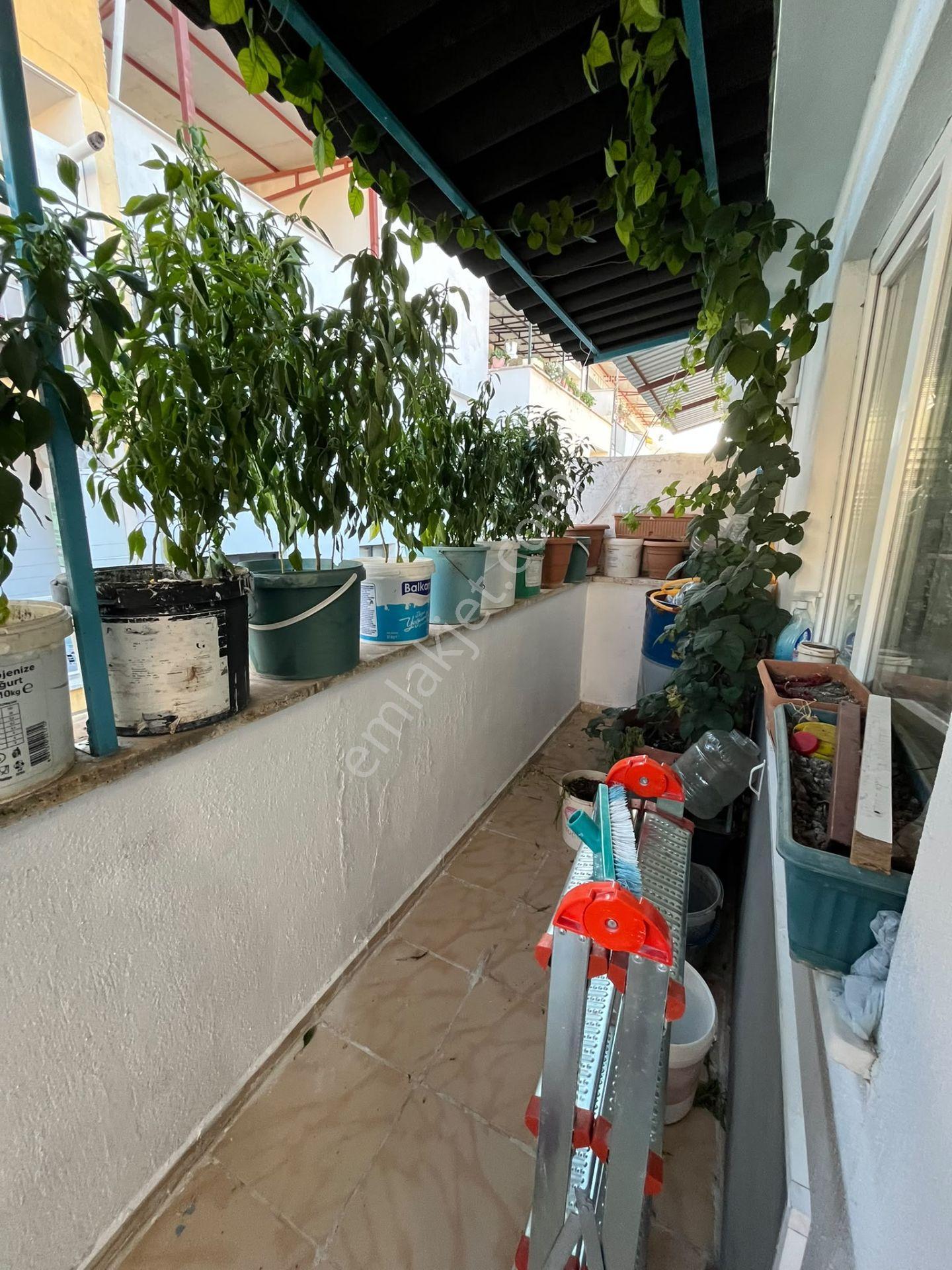 Mutlu Mahallesi Satılık Çatı Dubleks 5+1 230m2 M2 4 Katlı Çatı Dubleksi Full Özellikli Petek Kombi — fotoğraf 11