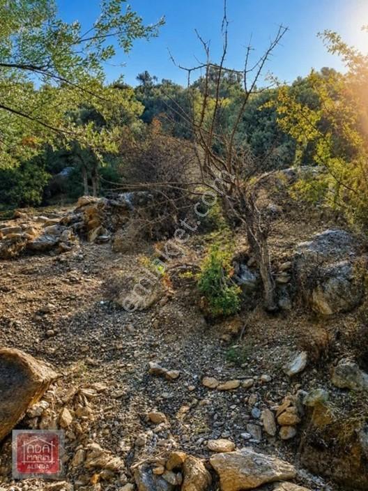 Sercin Bafa Gölü Kenarında Satılık Eşsiz Arazi — fotoğraf 2