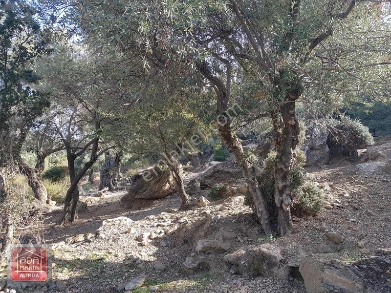Sercin Bafa Gölü Kenarında Satılık Eşsiz Arazi — fotoğraf 5