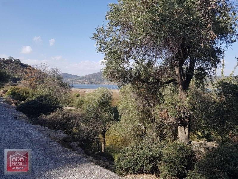 Sercin Bafa Gölü Kenarında Satılık Eşsiz Arazi — fotoğraf 7