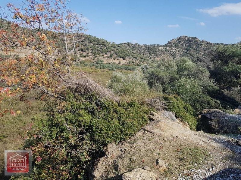 Sercin Bafa Gölü Kenarında Satılık Eşsiz Arazi — fotoğraf 8