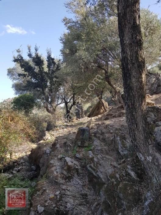 Sercin Bafa Gölü Kenarında Satılık Eşsiz Arazi — fotoğraf 9