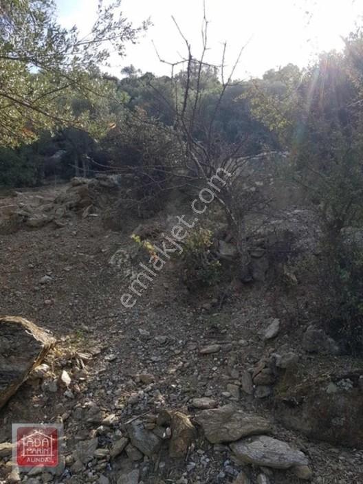Sercin Bafa Gölü Kenarında Satılık Eşsiz Arazi — fotoğraf 10