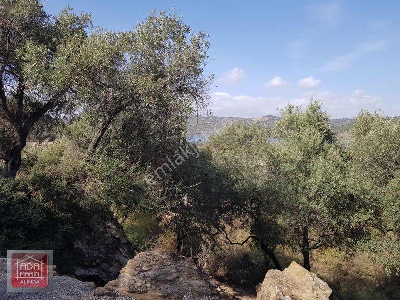 Sercin Bafa Gölü Kenarında Satılık Eşsiz Arazi — fotoğraf 11