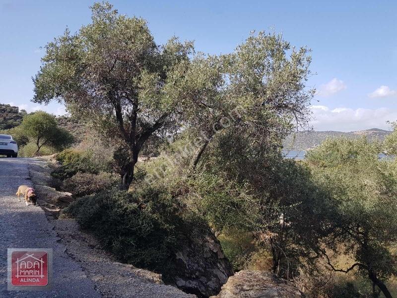 Sercin Bafa Gölü Kenarında Satılık Eşsiz Arazi — fotoğraf 12