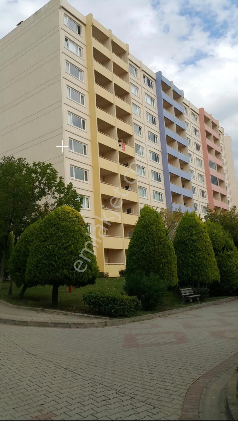 Yalova Armutlu'da 22 Eylül 6 Ekim Tarihli Devre Mülk 2+1 — fotoğraf 17