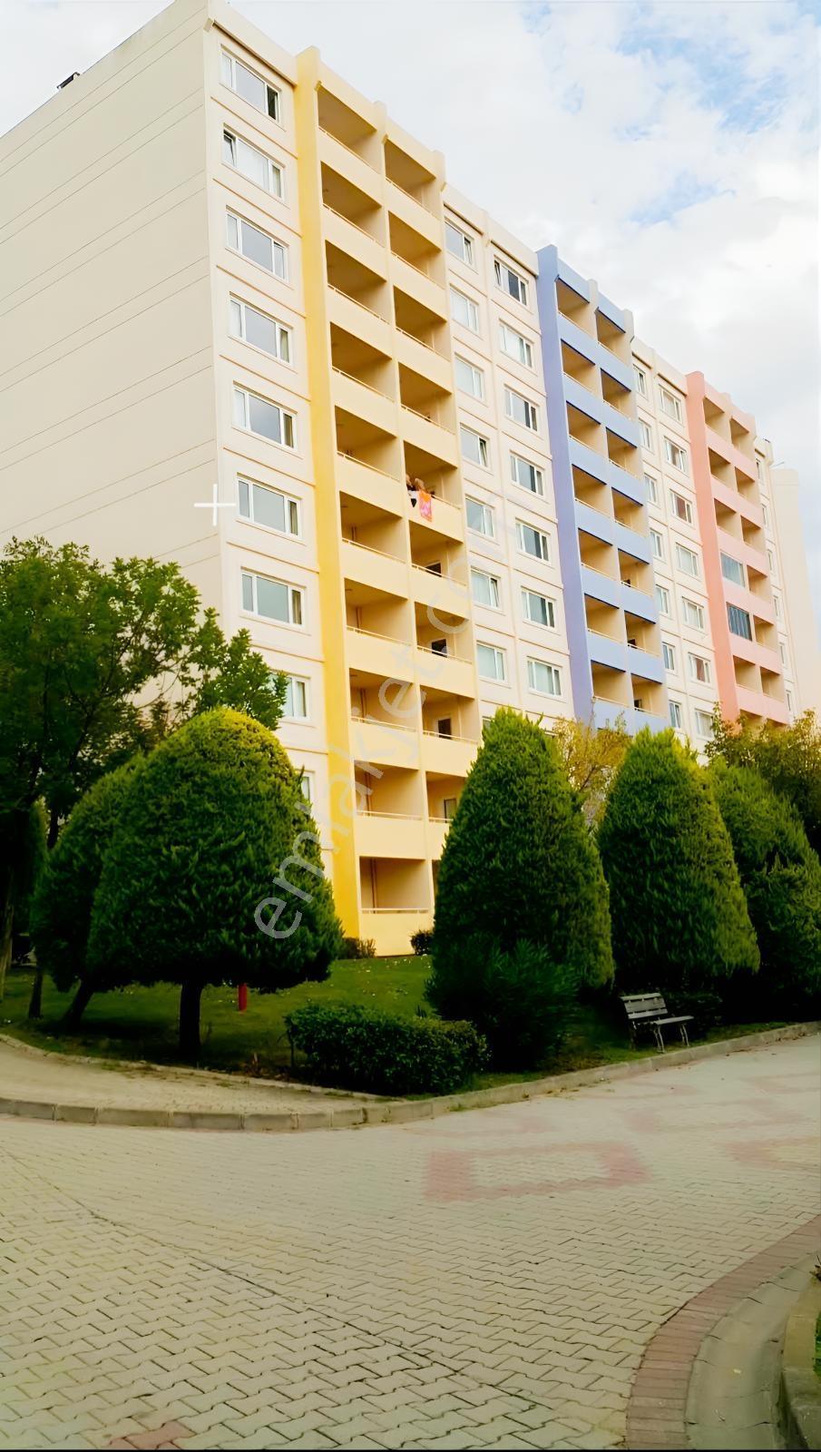 Yalova Armutlu'da 22 Eylül 6 Ekim Tarihli Devre Mülk 2+1 — fotoğraf 29