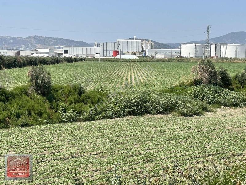 Söke Osb Bölgesine Sınır 7.500 M² Satılık Yatırımlık Arazi — fotoğraf 6