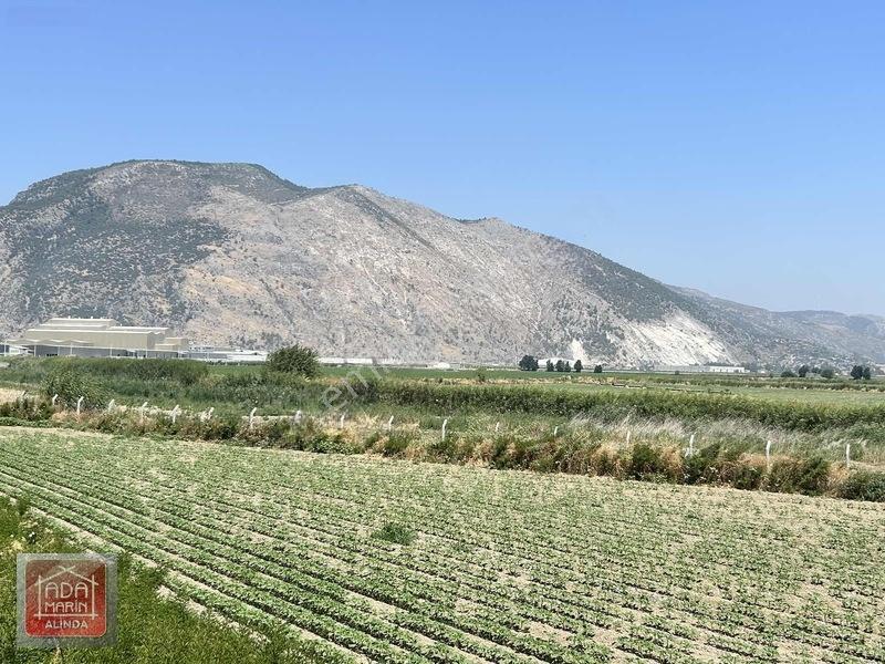Söke Osb Bölgesine Sınır 7.500 M² Satılık Yatırımlık Arazi — fotoğraf 10