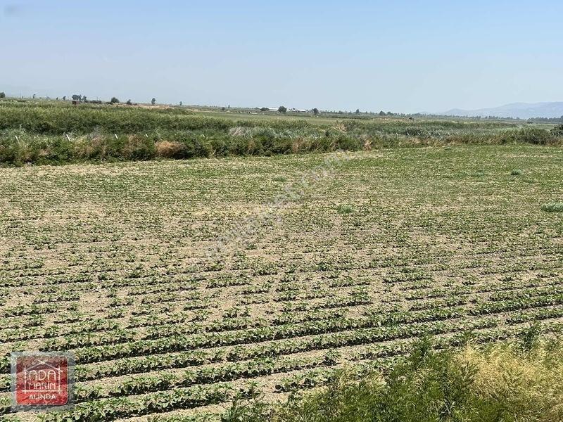 Söke Osb Bölgesine Sınır 7.500 M² Satılık Yatırımlık Arazi — fotoğraf 12
