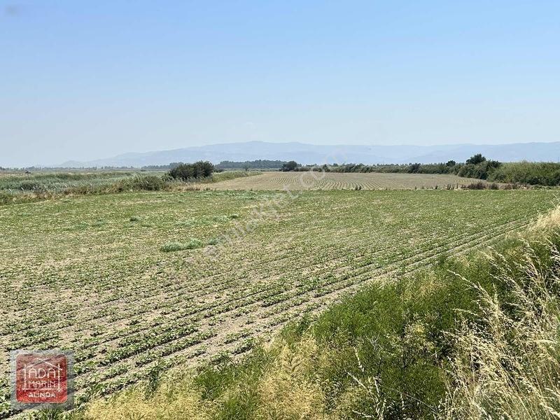 Söke Osb Bölgesine Sınır 7.500 M² Satılık Yatırımlık Arazi — fotoğraf 13