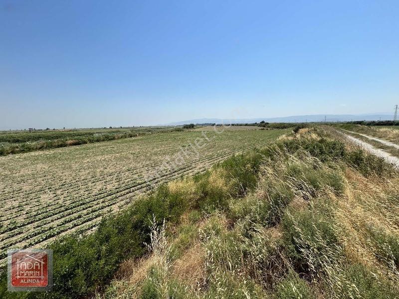 Söke Osb Bölgesine Sınır 7.500 M² Satılık Yatırımlık Arazi — fotoğraf 14