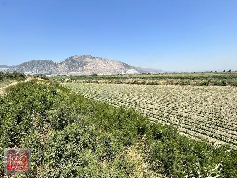 Söke Osb Bölgesine Sınır 7.500 M² Satılık Yatırımlık Arazi — fotoğraf 16