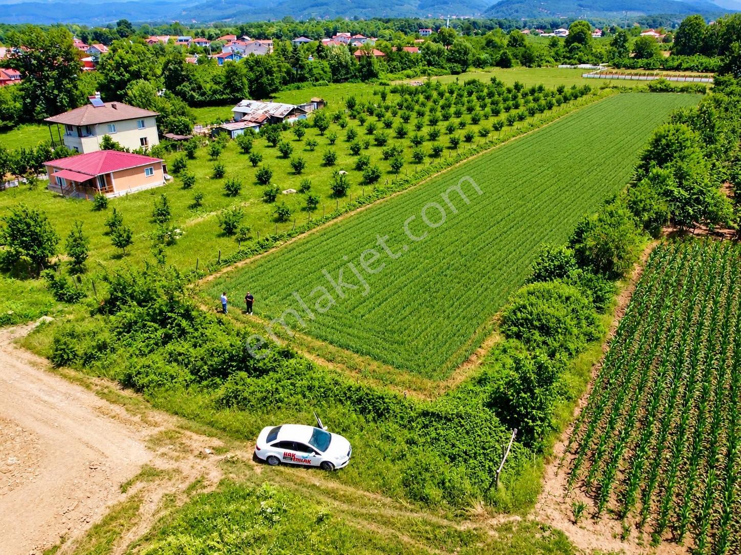 Hak Emlak'tan Altınpınar Mah.de İki Yola Cepheli Satılık Arsa — fotoğraf 13