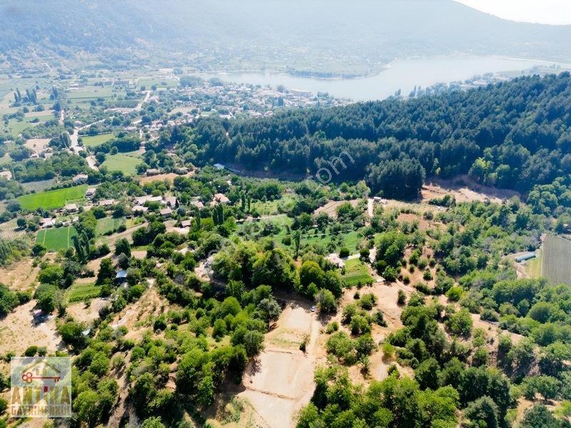 Antika Gayrimenkul'Den Doğa Sevenlere Özel 2173 M² Hobi Bahçesi — fotoğraf 5