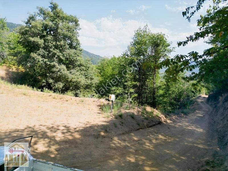 Antika Gayrimenkul'Den Doğa Sevenlere Özel 2173 M² Hobi Bahçesi — fotoğraf 23