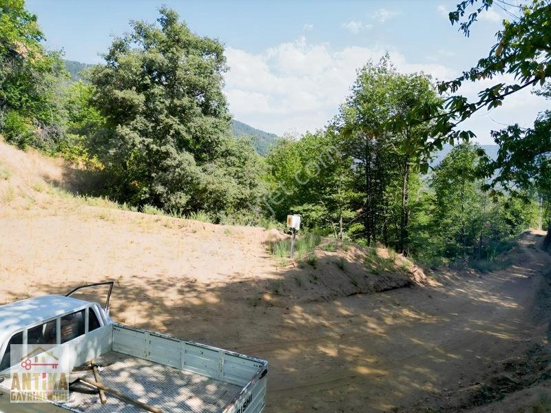 Antika Gayrimenkul'Den Doğa Sevenlere Özel 2173 M² Hobi Bahçesi — fotoğraf 24