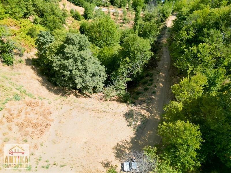 Antika Gayrimenkul'Den Doğa Sevenlere Özel 2173 M² Hobi Bahçesi — fotoğraf 25